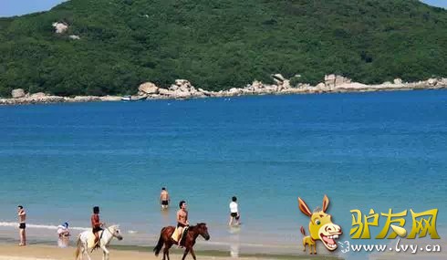 0.webp (1)_����.jpg